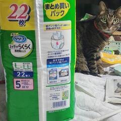 大人用紙パンツ男女共用の画像