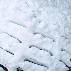🔴雪溶け早める方法⁉️🔴