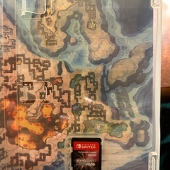 ポケモンシャイニングパール の画像