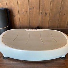 ボディスカルプチャー　振動マシン