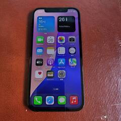 【配送費込】iPhone12Pro（Docomo版）simフリー