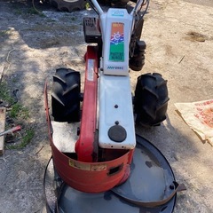 牧草モアーの画像