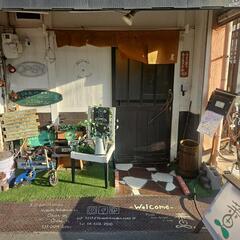 女性スタッフ活躍中◎小さな居酒屋のホールスタッフ！
