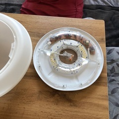 アイリスオーヤマ照明の画像