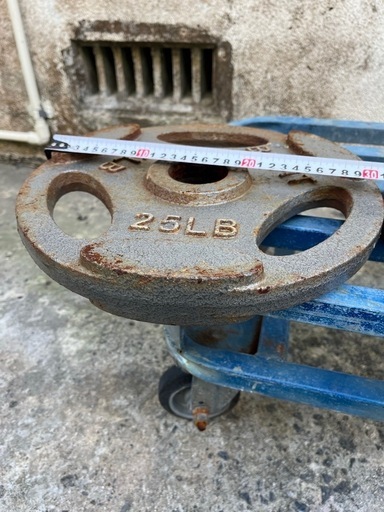 11.34kg25LBダンベル2枚セット‼️プレート?️トレーニング?️フィトネス運動バーベル重りワークアウト重量挙げ?プロフ必読