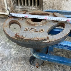 11.34kg25LBダンベル2枚セット‼️プレート🏋️トレーニング🏋️フィトネス運動バーベル重りワークアウト重量挙げ🍉プロフ必読の画像
