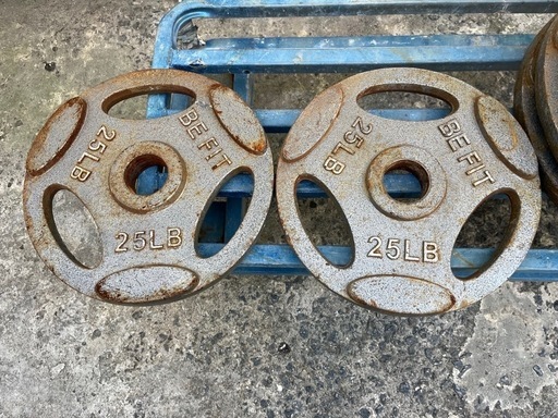 11.34kg25LBダンベル2枚セット‼️プレート?️トレーニング?️フィトネス運動バーベル重りワークアウト重量挙げ?プロフ必読