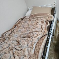 ベット