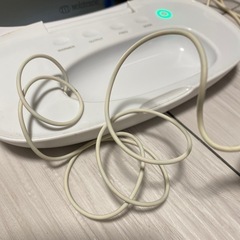 モイスティーヌ美顔器の画像