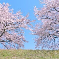 サービス管理責任者の募集！！熱意のあるオープニングメンバーを募集...