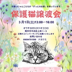 保護猫譲渡会3/1土