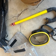 フィン　足ヒレの画像