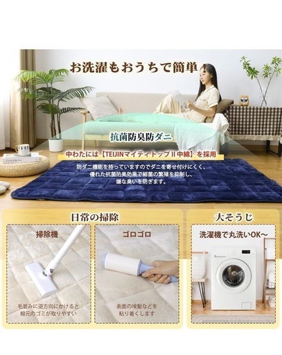 新品・カーペット　3畳[190x240]