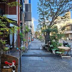 一緒に歩いて沢山風景写真撮りませんか？ - メンバー募集