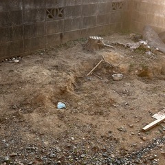 土