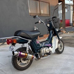 角目シャリー CF50の画像