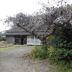 敷地約340坪、建物面積約45坪、物置面積約120坪の住宅が家賃5万円 - かすみがうら市