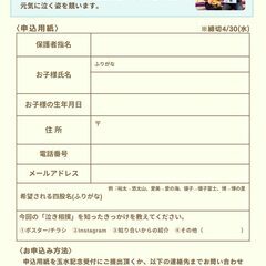 【梅田から１駅】わっしょい泣き相撲 玉水場所 2026