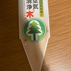観葉植物 グリーン エレガンス アラレアの画像