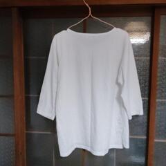 激安‼️白いTシャツの画像