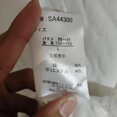 激安‼️白いTシャツの画像