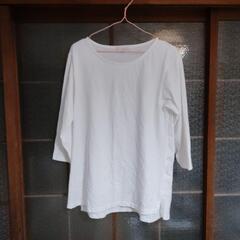 激安‼️白いTシャツ