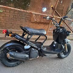 ホンダ　ズーマー　FI　AF58　インジェクション　実働車両　大阪の画像