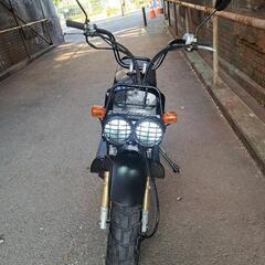 ホンダ　ズーマー　FI　AF58　インジェクション　実働車両　大阪の画像