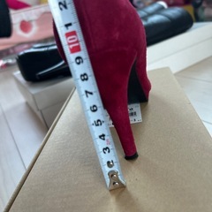 ダイアナ3月21まで出品の画像