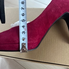 ダイアナ3月21まで出品の画像