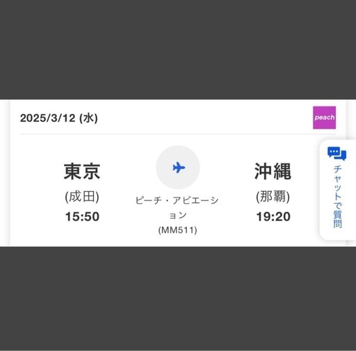 3/10-3/12 航空券