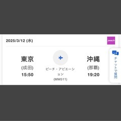3/10-3/12 航空券の画像
