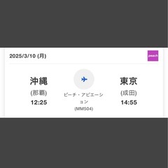 3/10-3/12 航空券