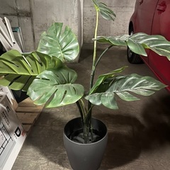 2/27引渡し決定　造花の植木