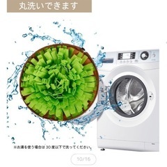 新品未開封犬のおもちゃの画像