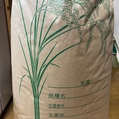 お米　精米済み