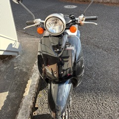 原付　ホンダトゥデイ　3/3午前中希望の画像
