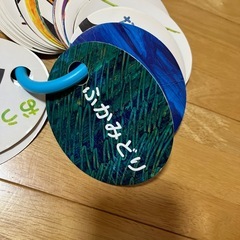 はらぺこあおむし　いろ・かたちカードの画像