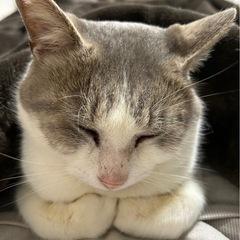 抱っこ大好きマロ君