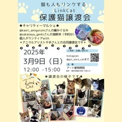 ＊合同ふれあい譲渡会＊