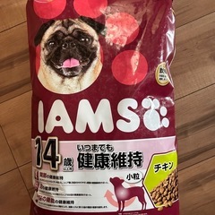 ドッグフード　14歳　IAMS 