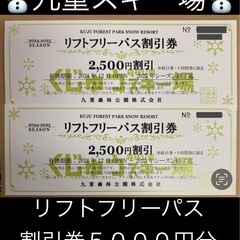  【2枚】⛷九重森林公園スキー場 リフトフリーパス割引券 250...