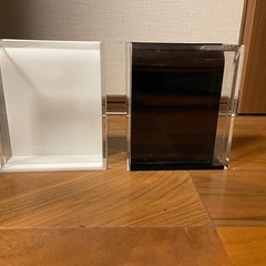 メダカ　目高　五藤めだか　選別ケース　セット