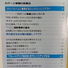 Nゲージマガジン 鉄道模型趣味増刊 no21 1994年夏号 レイアウト　車輛工作　キハ400系　209系　南武線　DF91 オハ12 EF58 EF65チキ100の画像