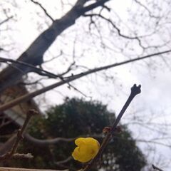 〜茶道を通して、日常を感じよう〜【事前予約不要】1日茶道体験