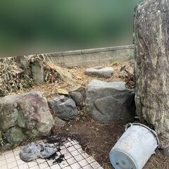 庭石差し上げます。の画像