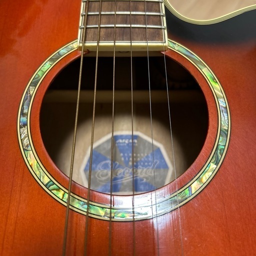 Aria エレクトリックアコースティックギター カバー、ピック付き Aria エレクトリックアコースティックギター カバー、ピック付き