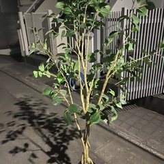 2/27引渡し決定　造花の植木②