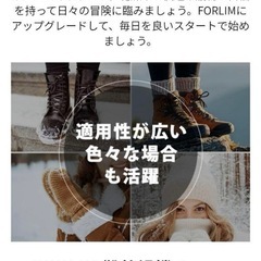 ⭐FORLIM QQ-6629-B 靴乾燥機 靴消臭機 消臭器の画像