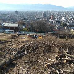 ３月【葡萄園内の枝やツルの片付け作業】増員募集！！